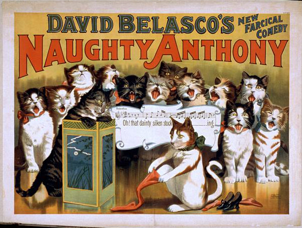 David Belasco's New Farcical Comedy, Naughty Anthony - Vintage Theater Cat Poster